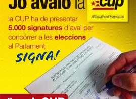 avals cup