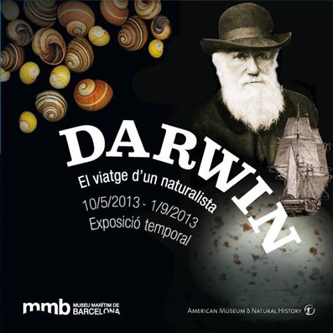 drwin2