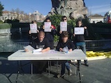 Nou militants de Maulets seran jutjats a Palma