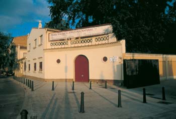 mhn valència