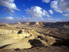 Bir al-Idd, el retorn a la terra