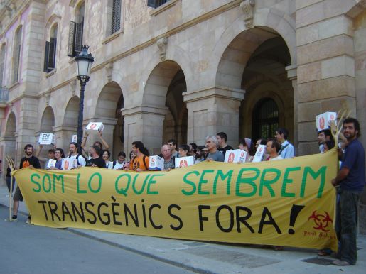 El debat sobre els antitransgènics arriba al Parlament de Catalunya