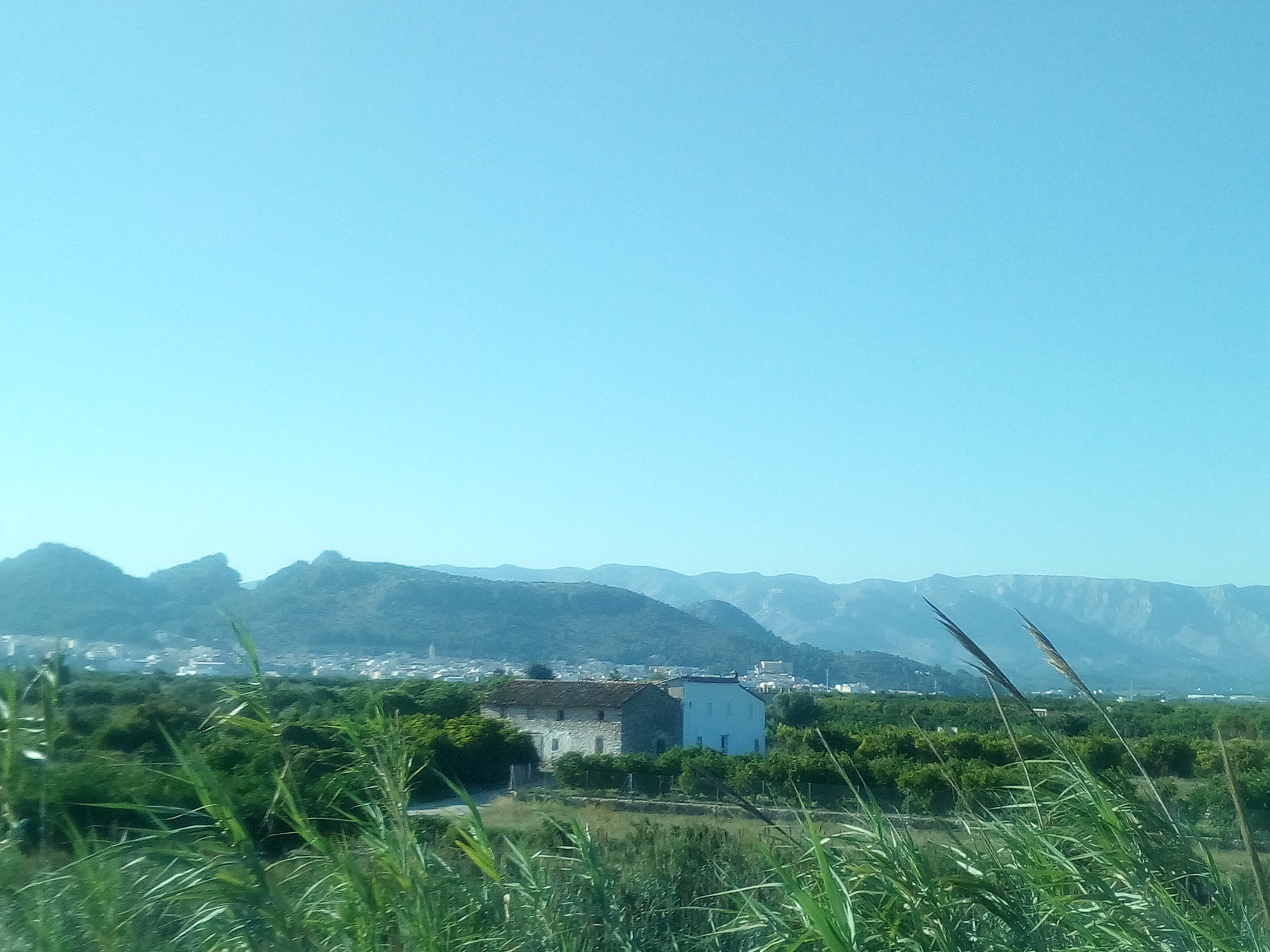L'ocàs del reg a manta en el tram baix del riu d'Alcoi (Horta de Gandia, la Safor)