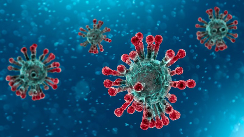 Coronavirus: l'agronegoci cria una altra epidèmia mortal