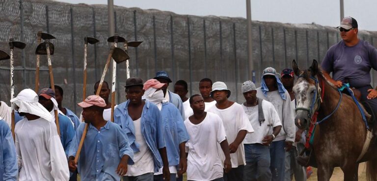 Consell de Drets Humans de l'ONU denuncia que el racisme sistèmic impregna la Policia i la Judicatura dels Estats Units